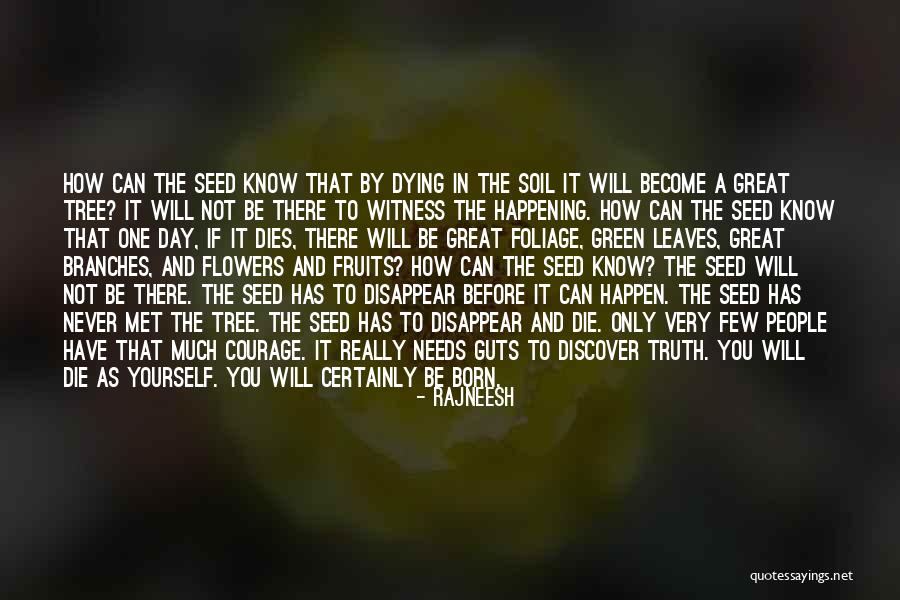 A Flower A Day Quotes By Rajneesh A Flower A Day Quotes By Rajneesh