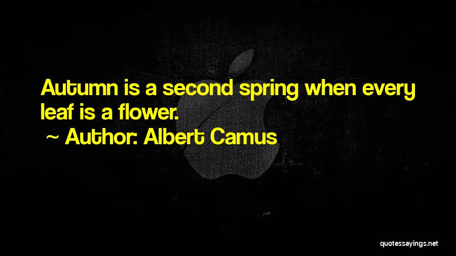 A Flower Quotes By Albert Camus
