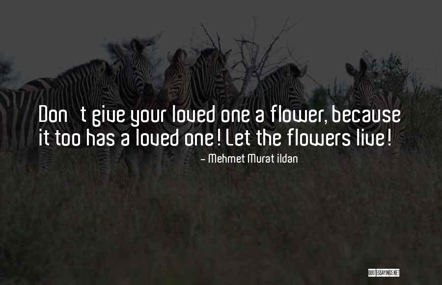 A Flower Quotes By Mehmet Murat Ildan