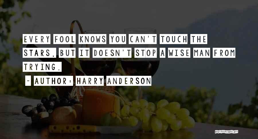 A Fool Quotes By Harry Anderson