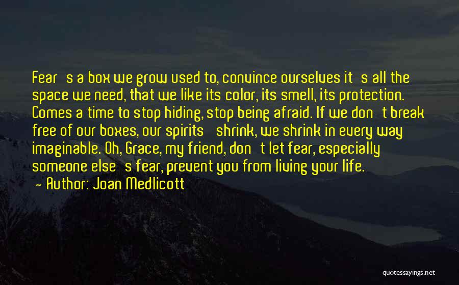 A Friend Like You Quotes By Joan Medlicott