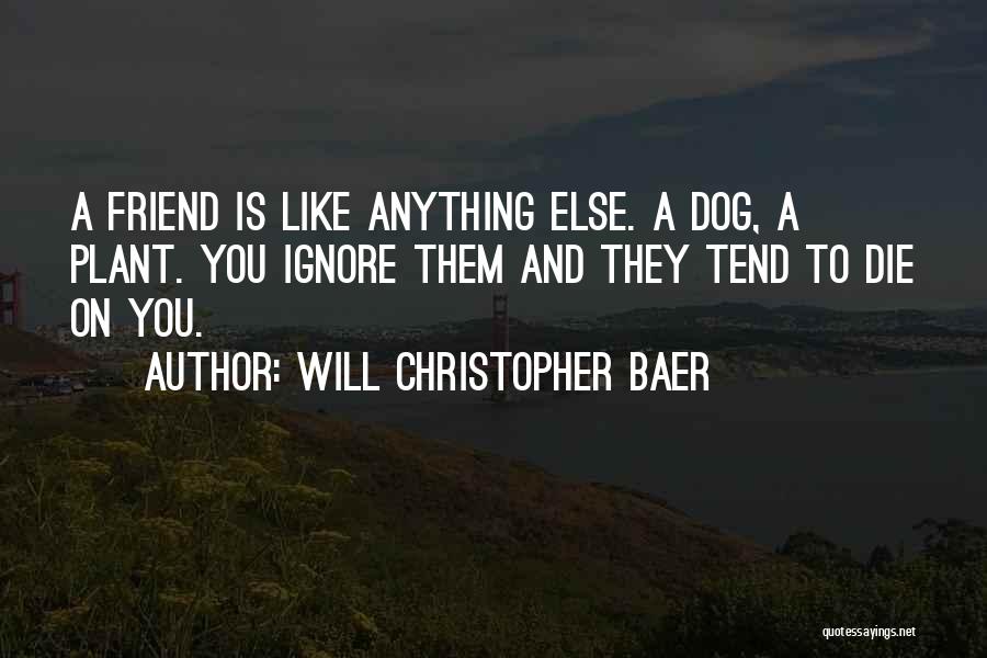 A Friend Like You Quotes By Will Christopher Baer