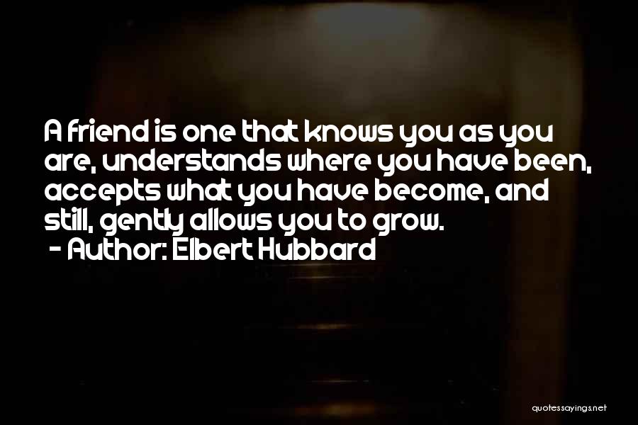 A Friend Who Understands You Quotes By Elbert Hubbard