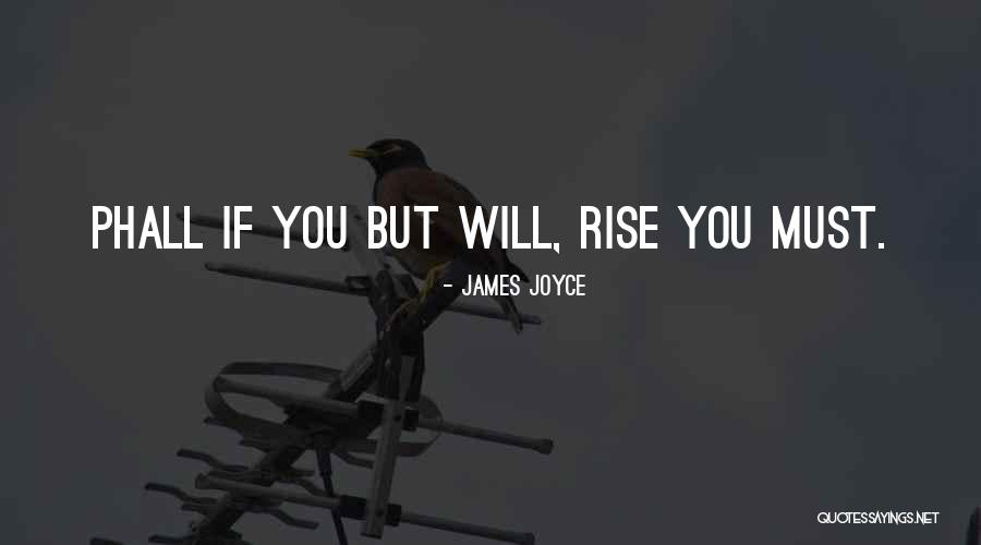 A Friend Who Upset You Quotes By James Joyce A Friend Who Upset You Quotes By James Joyce