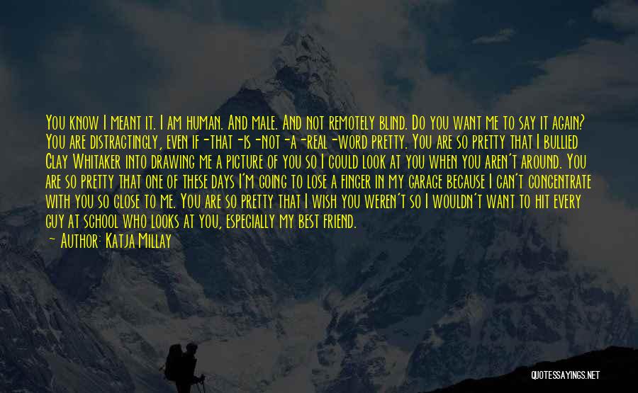 A Friend You Love Quotes By Katja Millay A Friend You Love Quotes By Katja Millay