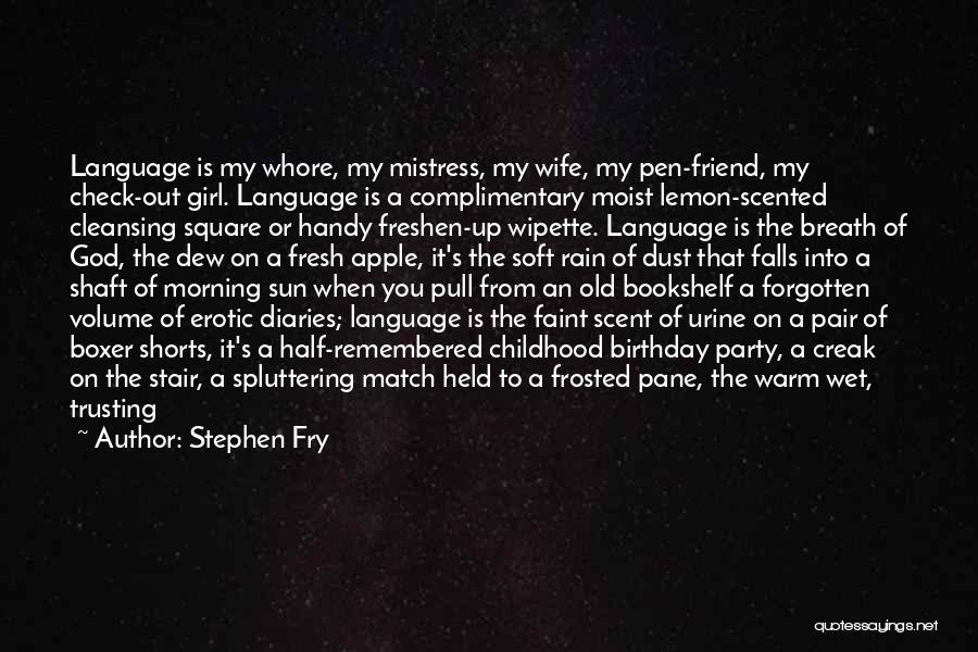 A Friend's Birthday Quotes By Stephen Fry