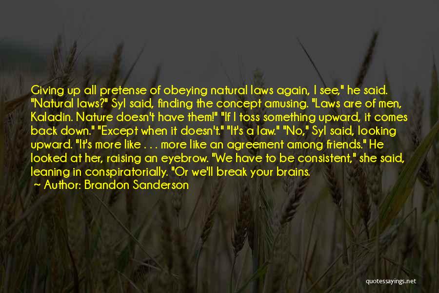 A Friends Break Up Quotes By Brandon Sanderson