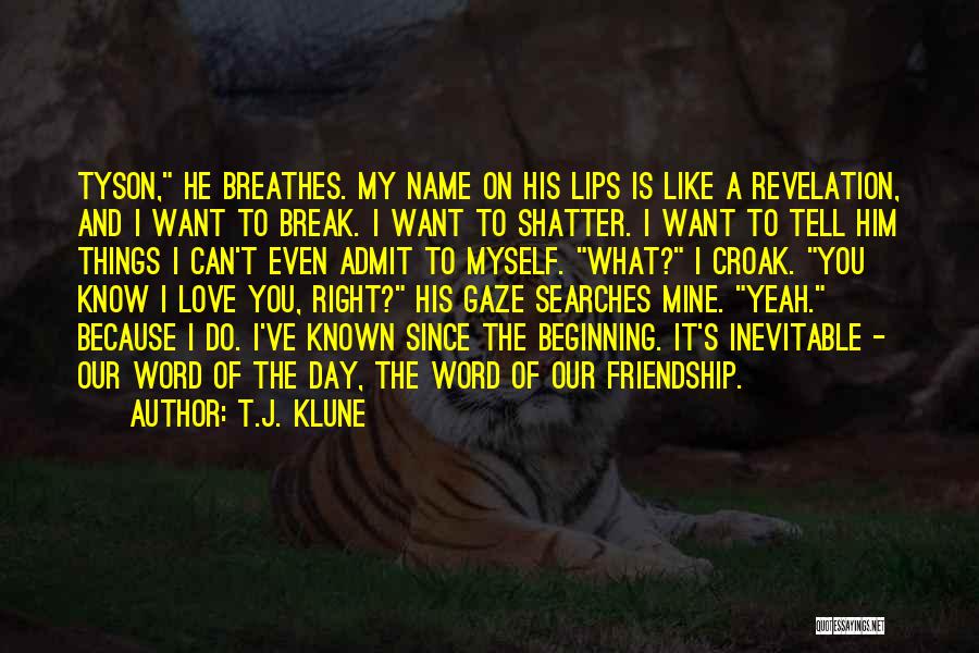 A Friendship Break Up Quotes By T.J. Klune