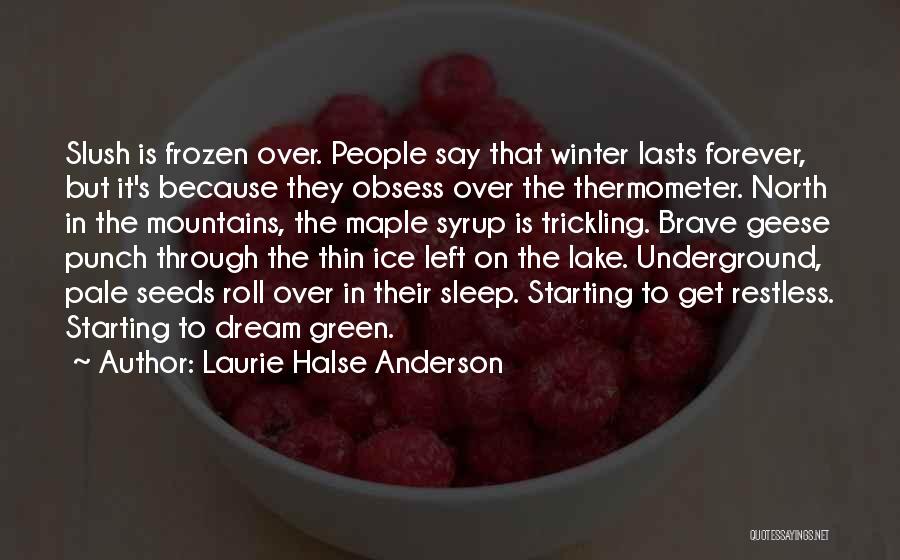 A Frozen Lake Quotes By Laurie Halse Anderson