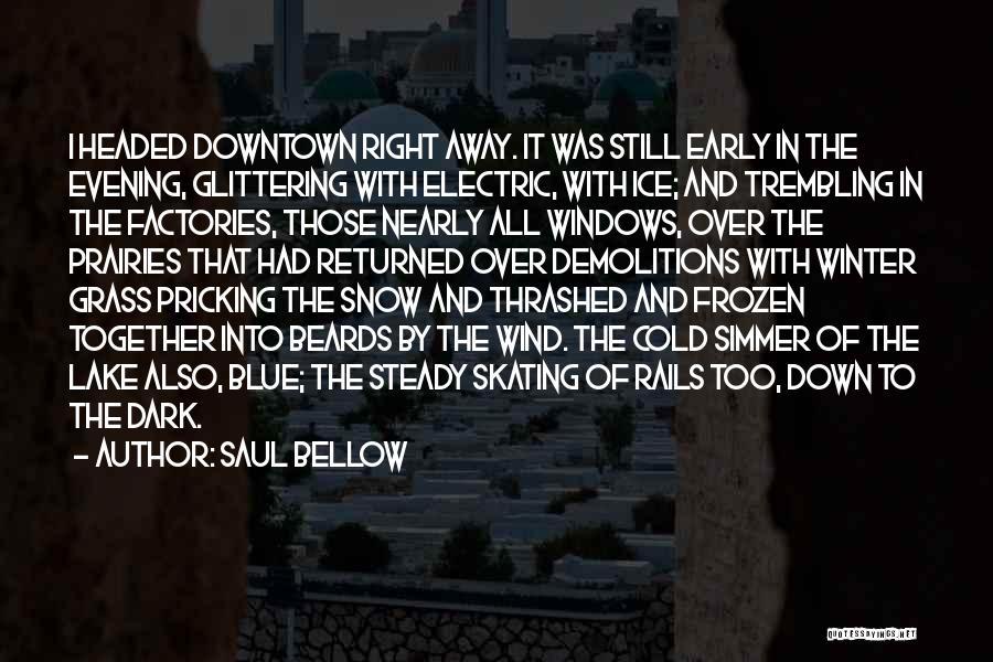 A Frozen Lake Quotes By Saul Bellow