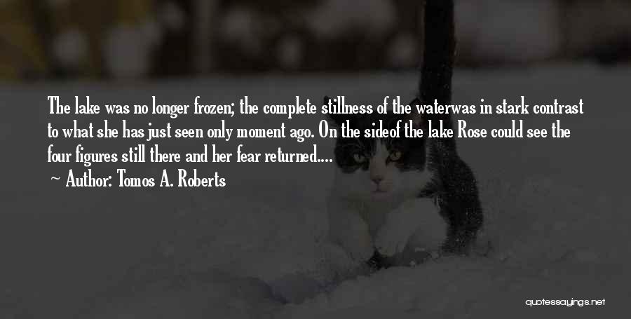 A Frozen Lake Quotes By Tomos A. Roberts A Frozen Lake Quotes By Tomos A. Roberts