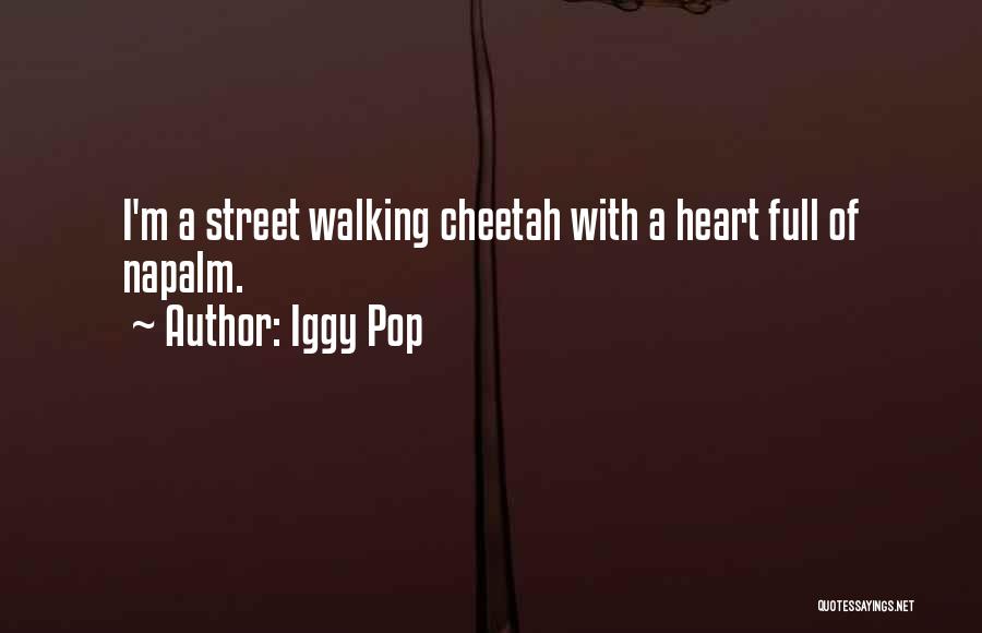 A Full Heart Quotes By Iggy Pop