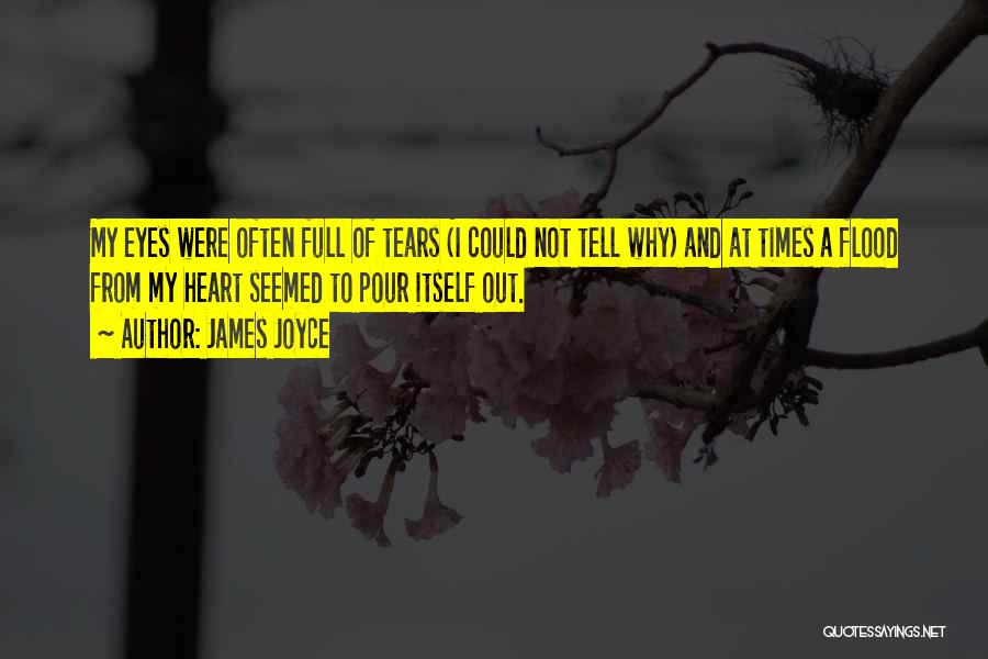 A Full Heart Quotes By James Joyce