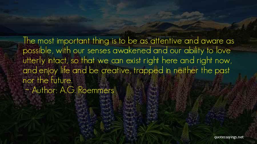 A.G. Roemmers Quotes 771913