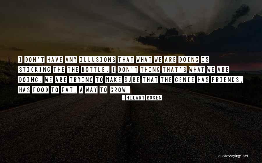 A Genie Quotes By Hilary Rosen A Genie Quotes By Hilary Rosen