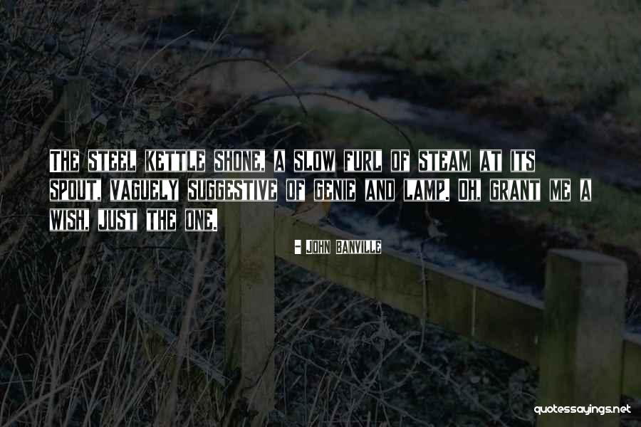 A Genie Quotes By John Banville A Genie Quotes By John Banville