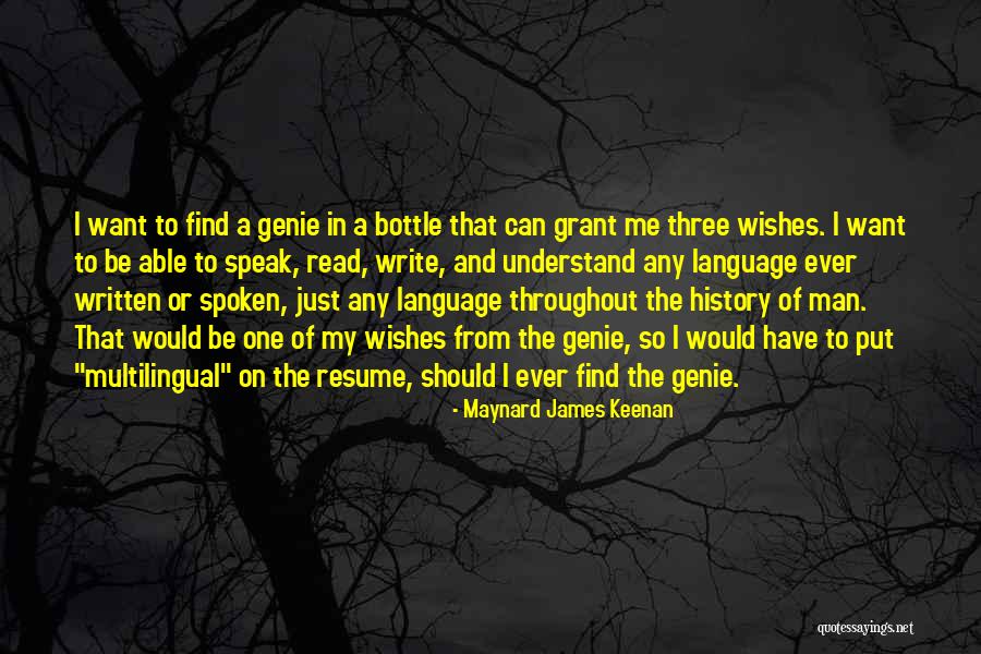 A Genie Quotes By Maynard James Keenan A Genie Quotes By Maynard James Keenan