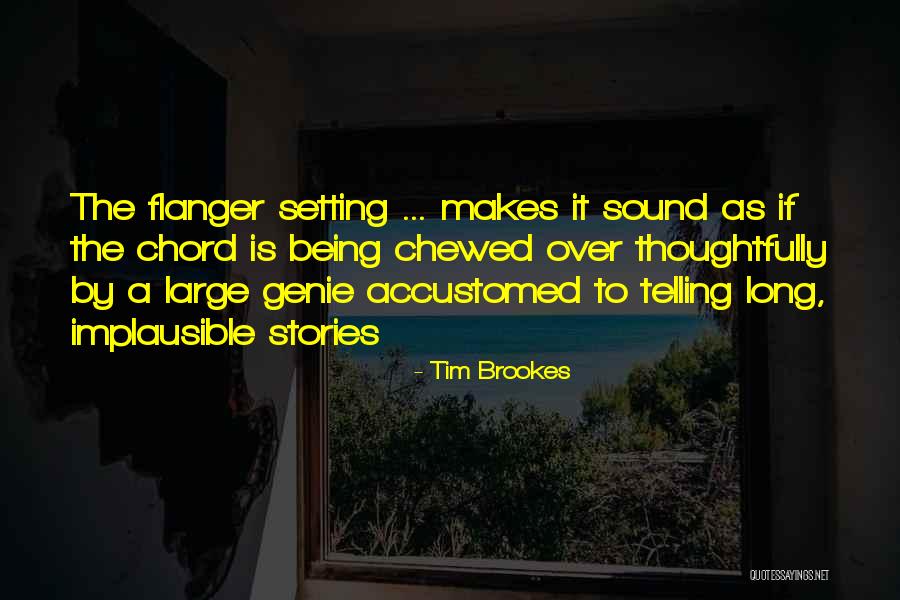 A Genie Quotes By Tim Brookes A Genie Quotes By Tim Brookes