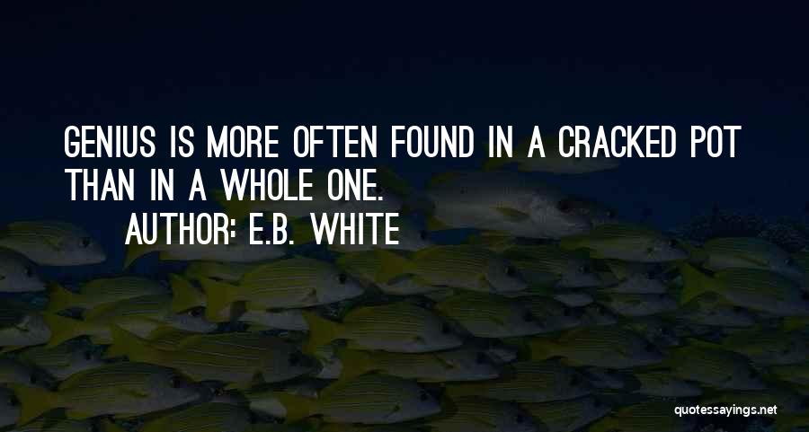 A Genius Quotes By E.B. White