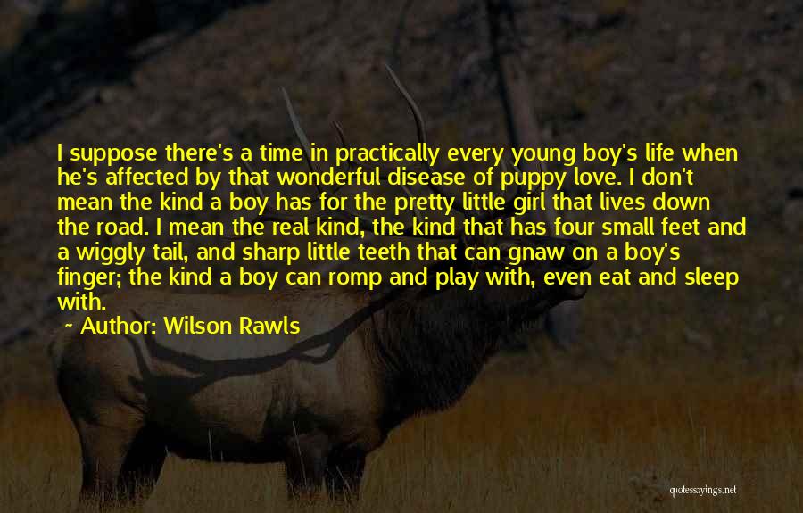 A Girl And Her Puppy Quotes By Wilson Rawls