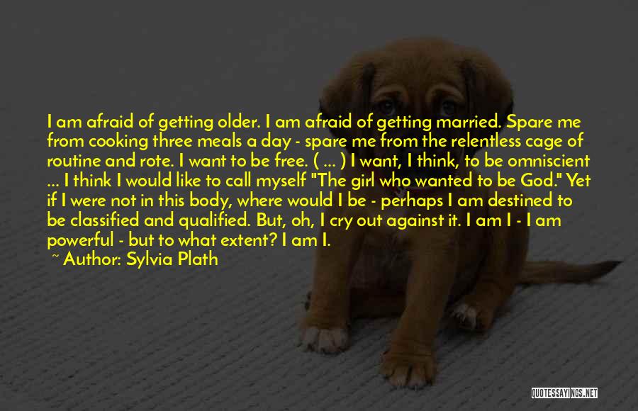 A Girl I Like Quotes By Sylvia Plath