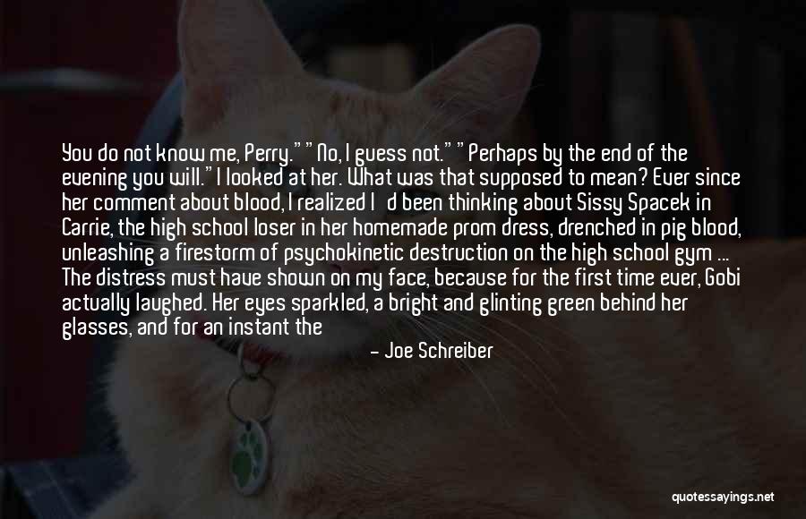 A Girl In A Dress Quotes By Joe Schreiber A Girl In A Dress Quotes By Joe Schreiber
