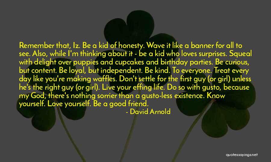 A Girl's Best Guy Friend Quotes By David Arnold