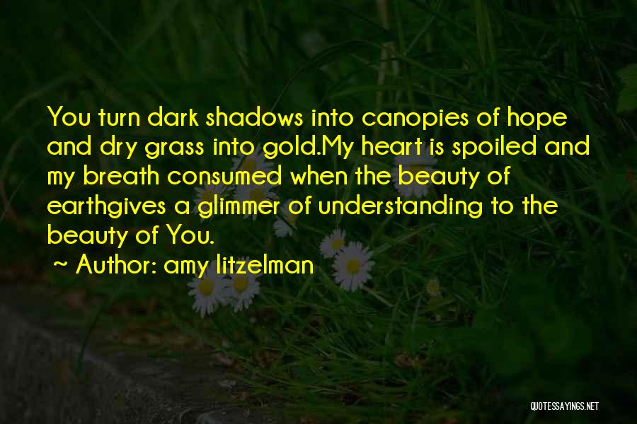 A Glimmer Of Hope Quotes By Amy Litzelman