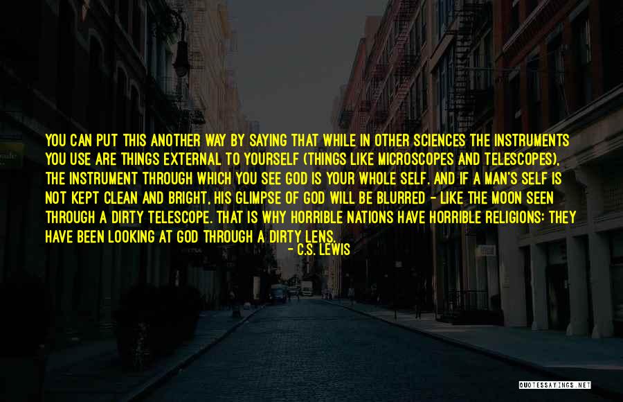 A Glimpse Of You Quotes By C.S. Lewis A Glimpse Of You Quotes By C.S. Lewis