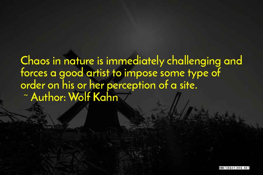 A Good Artist Quotes By Wolf Kahn