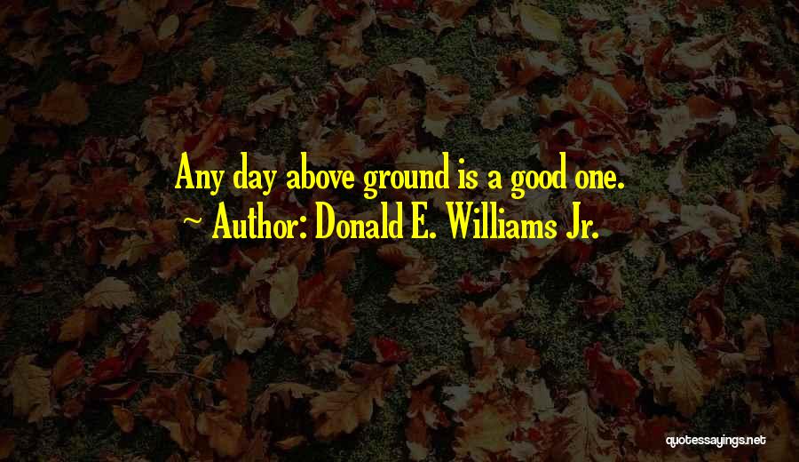 A Good Day Gone Bad Quotes By Donald E. Williams Jr.