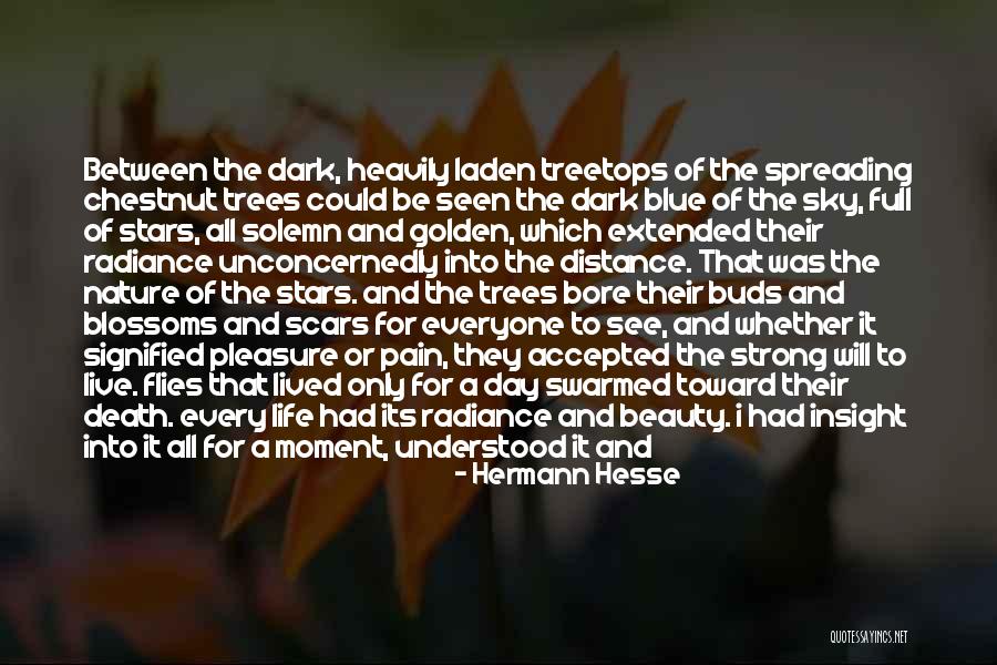 A Good Day Quotes By Hermann Hesse