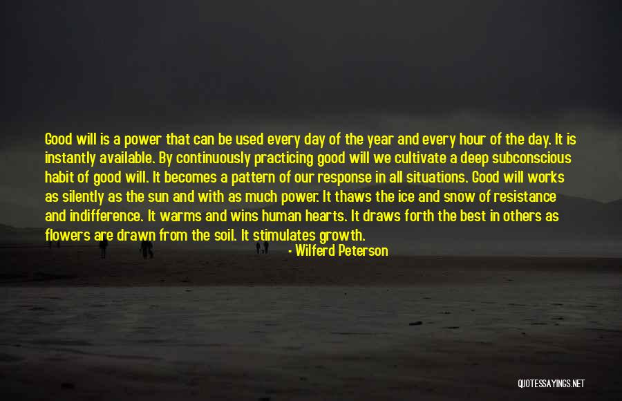 A Good Day Quotes By Wilferd Peterson