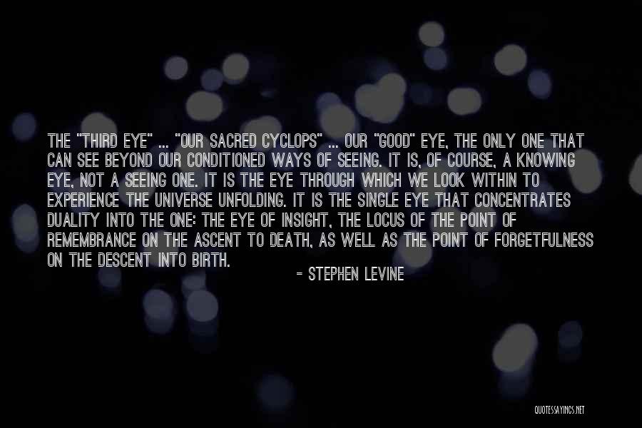 A Good Descent Quotes By Stephen Levine A Good Descent Quotes By Stephen Levine