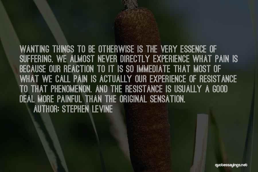 A Good Experience Quotes By Stephen Levine