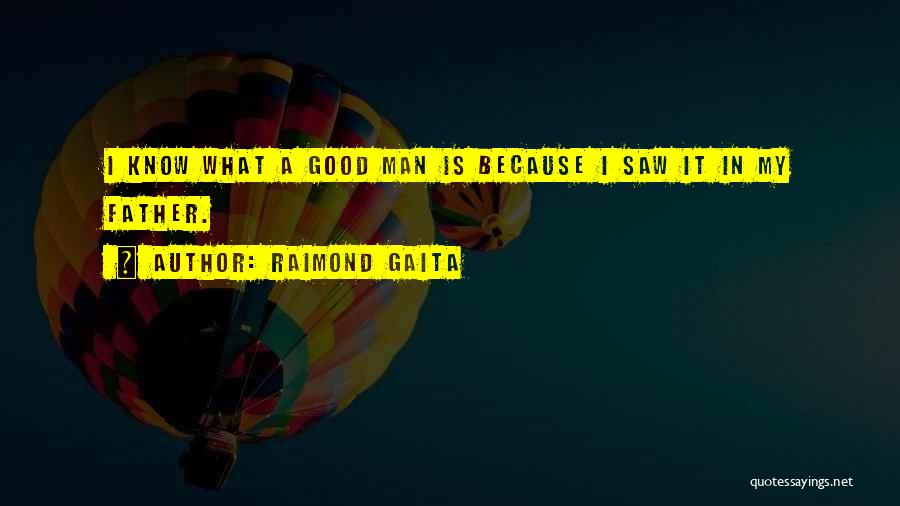 A Good Father Quotes By Raimond Gaita