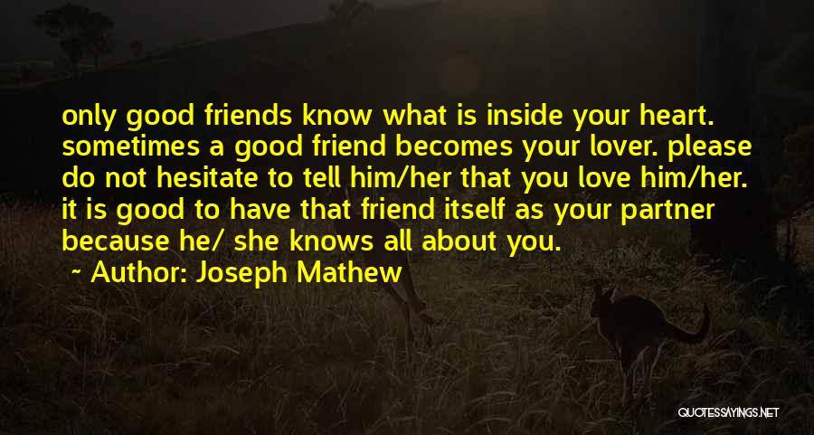 A Good Friendship Quotes By Joseph Mathew