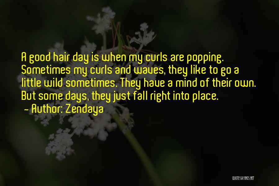 A Good Hair Day Quotes By Zendaya