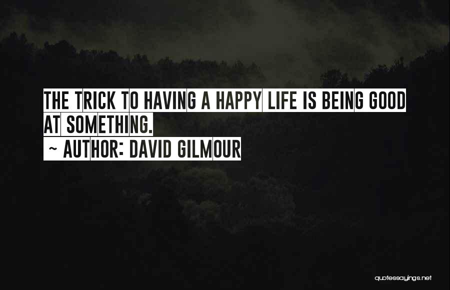 A Good Happy Life Quotes By David Gilmour