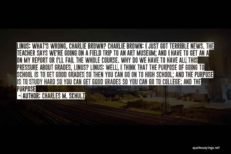 A Good Job Quotes By Charles M. Schulz