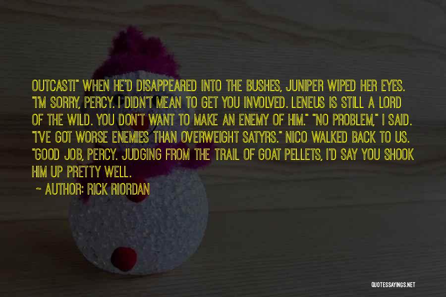 A Good Job Quotes By Rick Riordan