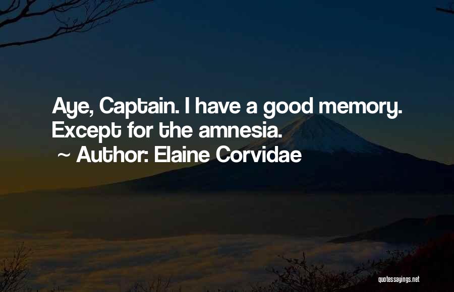 A Good Memory Quotes By Elaine Corvidae