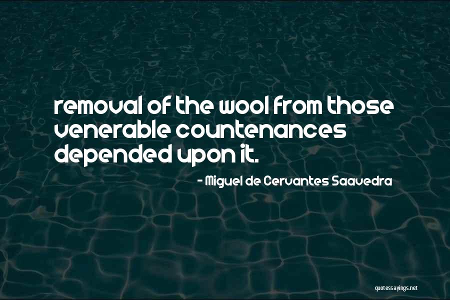 A Good Nephew Quotes By Miguel De Cervantes Saavedra A Good Nephew Quotes By Miguel De Cervantes Saavedra