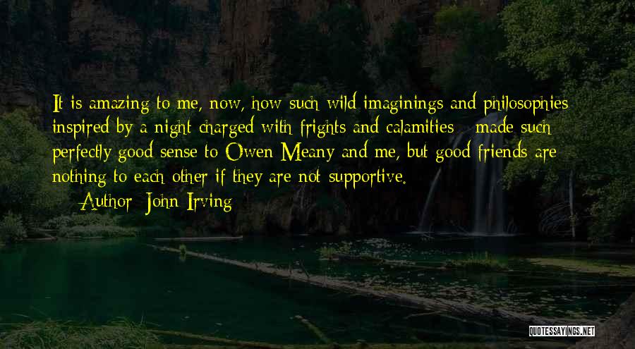 A Good Night With Friends Quotes By John Irving