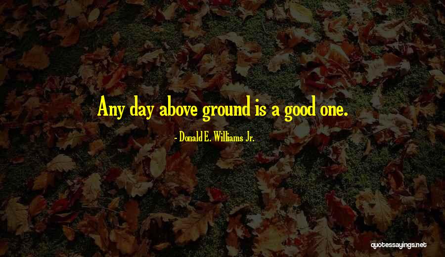 A Good One Quotes By Donald E. Williams Jr. A Good One Quotes By Donald E. Williams Jr.