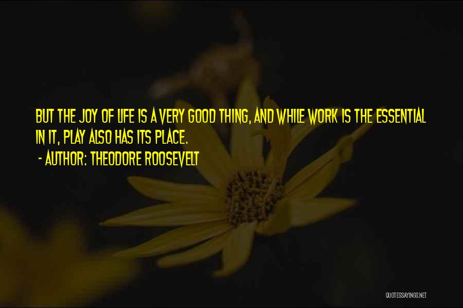 A Good Place Quotes By Theodore Roosevelt