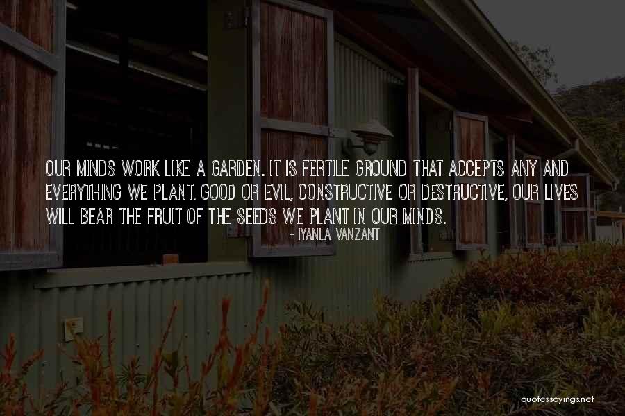 A Good Plant Quotes By Iyanla Vanzant A Good Plant Quotes By Iyanla Vanzant