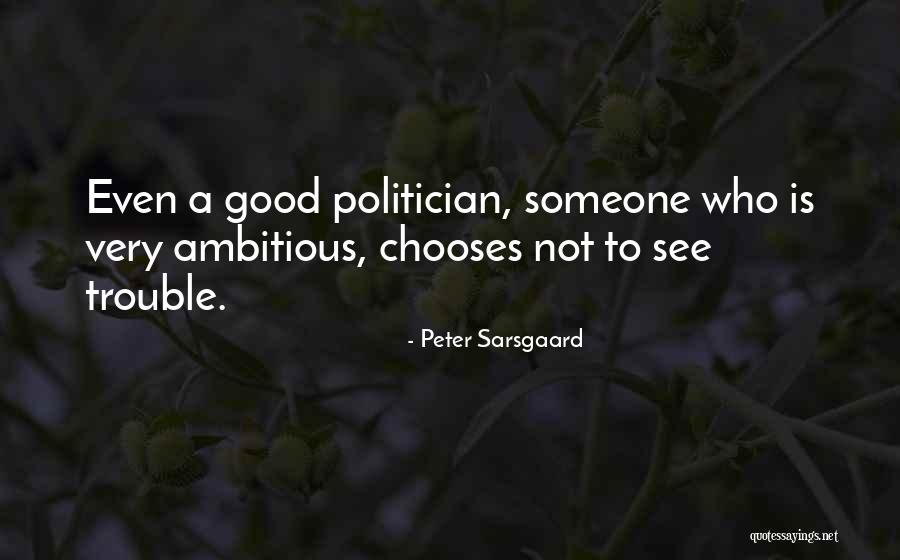 A Good Politician Quotes By Peter Sarsgaard A Good Politician Quotes By Peter Sarsgaard