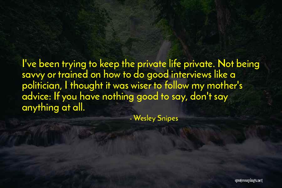 A Good Politician Quotes By Wesley Snipes A Good Politician Quotes By Wesley Snipes