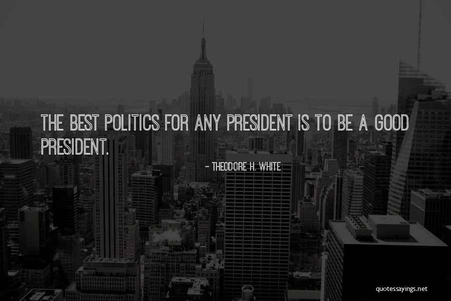 A Good President Quotes By Theodore H. White